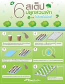  6 ขั้นตอนง่ายๆ ในการปลูกสวนผักไฮโดรโปนิกส์ ที่ทำเองได้ที่บ้าน 