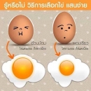 เทคนิคการเลือกซื้อไข่ อ้วนป้อม หรือผอมเรียวดี?