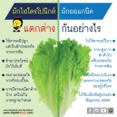 ไฮโดรโปนิกส์ VS ออแกนิค